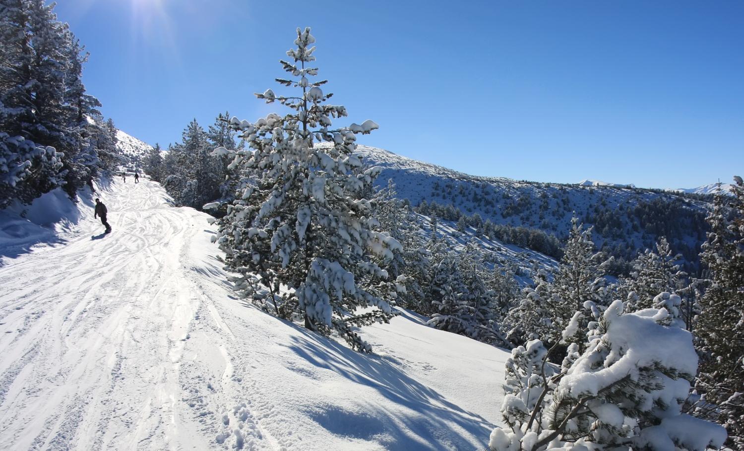 Alpine Ski Chalet Borovets With Sauna Dış mekan fotoğraf