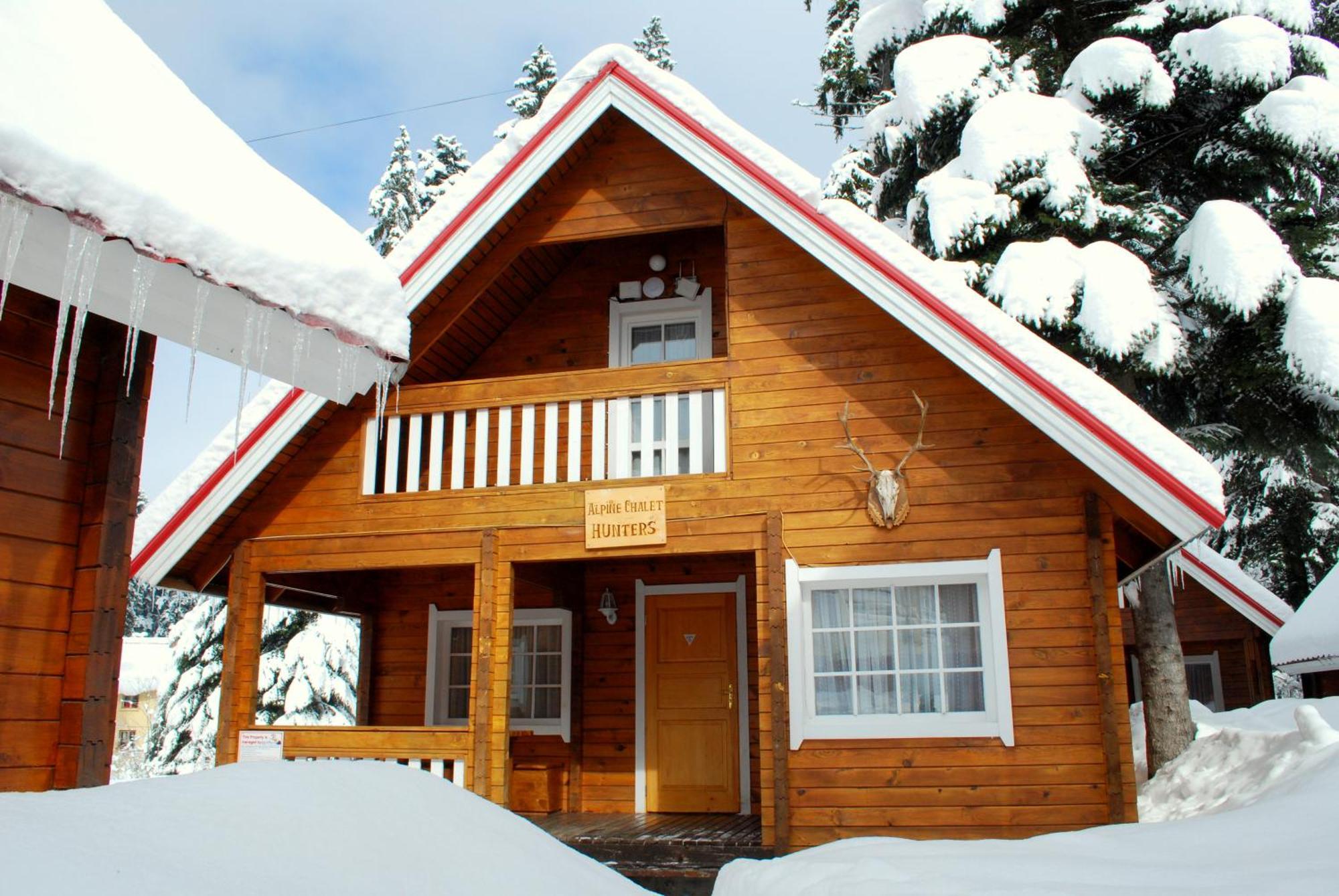 Alpine Ski Chalet Borovets With Sauna Dış mekan fotoğraf