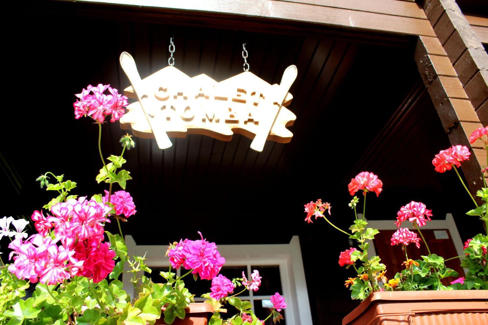 Alpine Ski Chalet Borovets With Sauna Dış mekan fotoğraf
