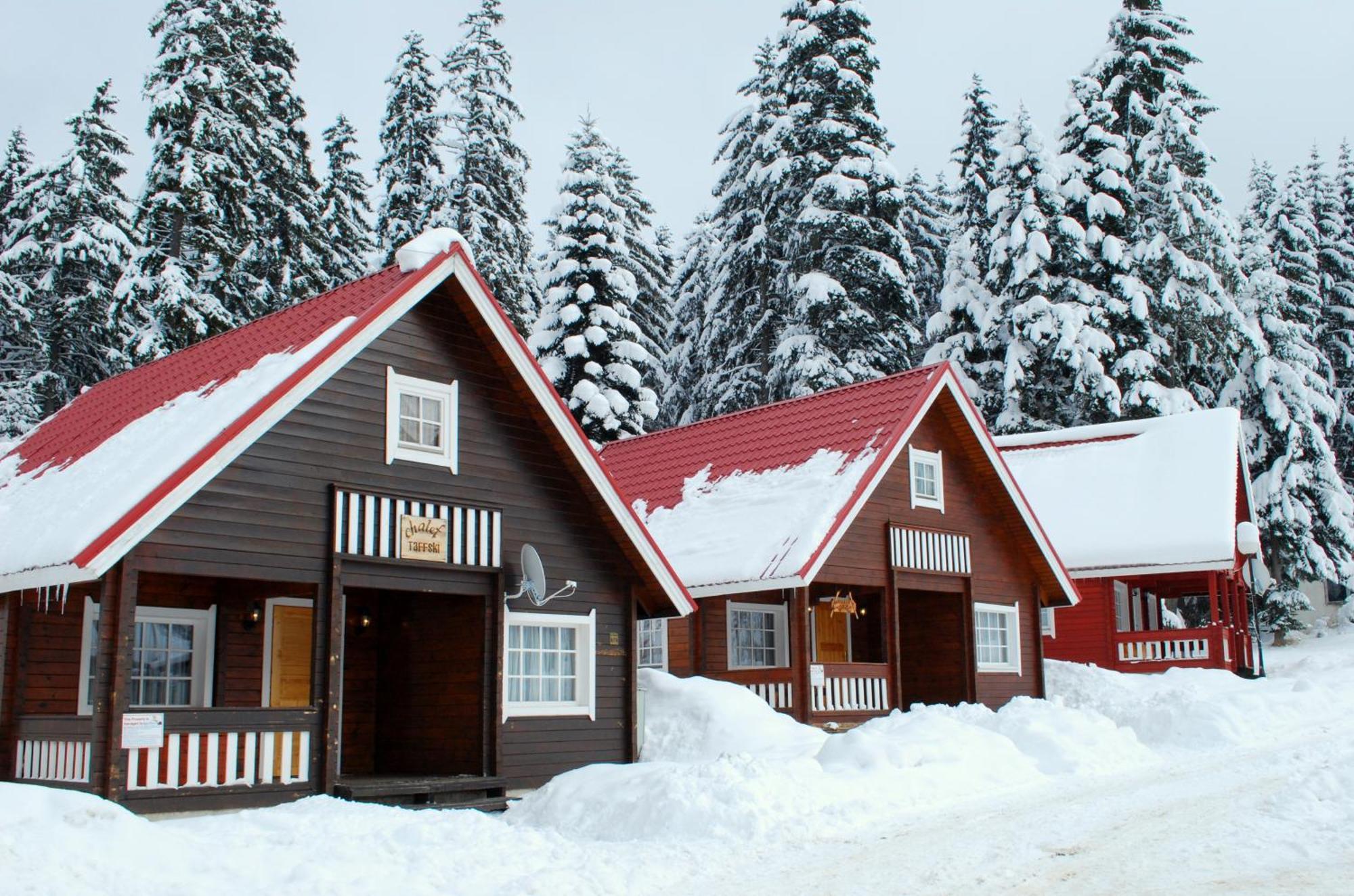 Alpine Ski Chalet Borovets With Sauna Dış mekan fotoğraf