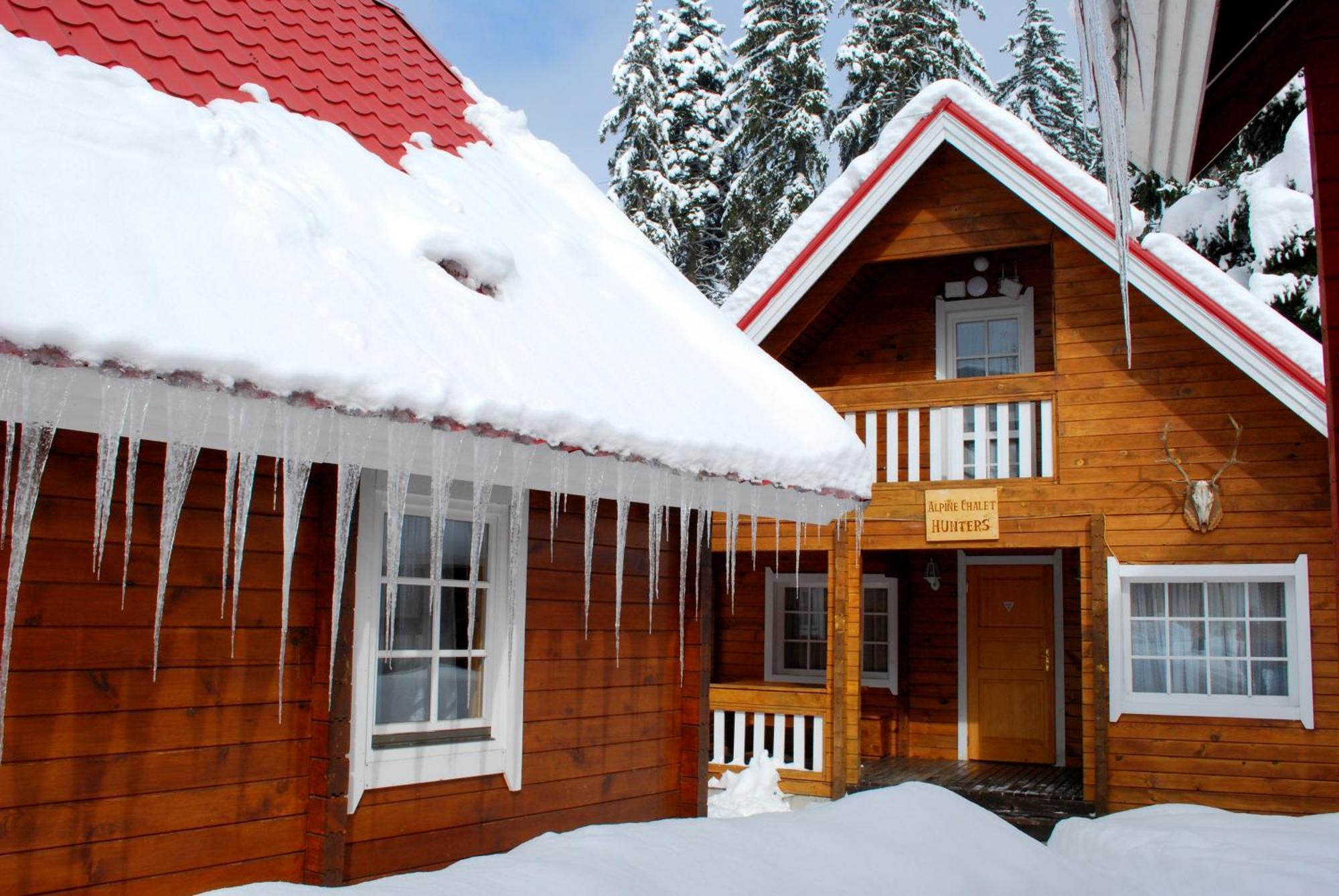 Alpine Ski Chalet Borovets With Sauna Oda fotoğraf